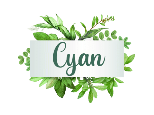 Logo Cyan Natural